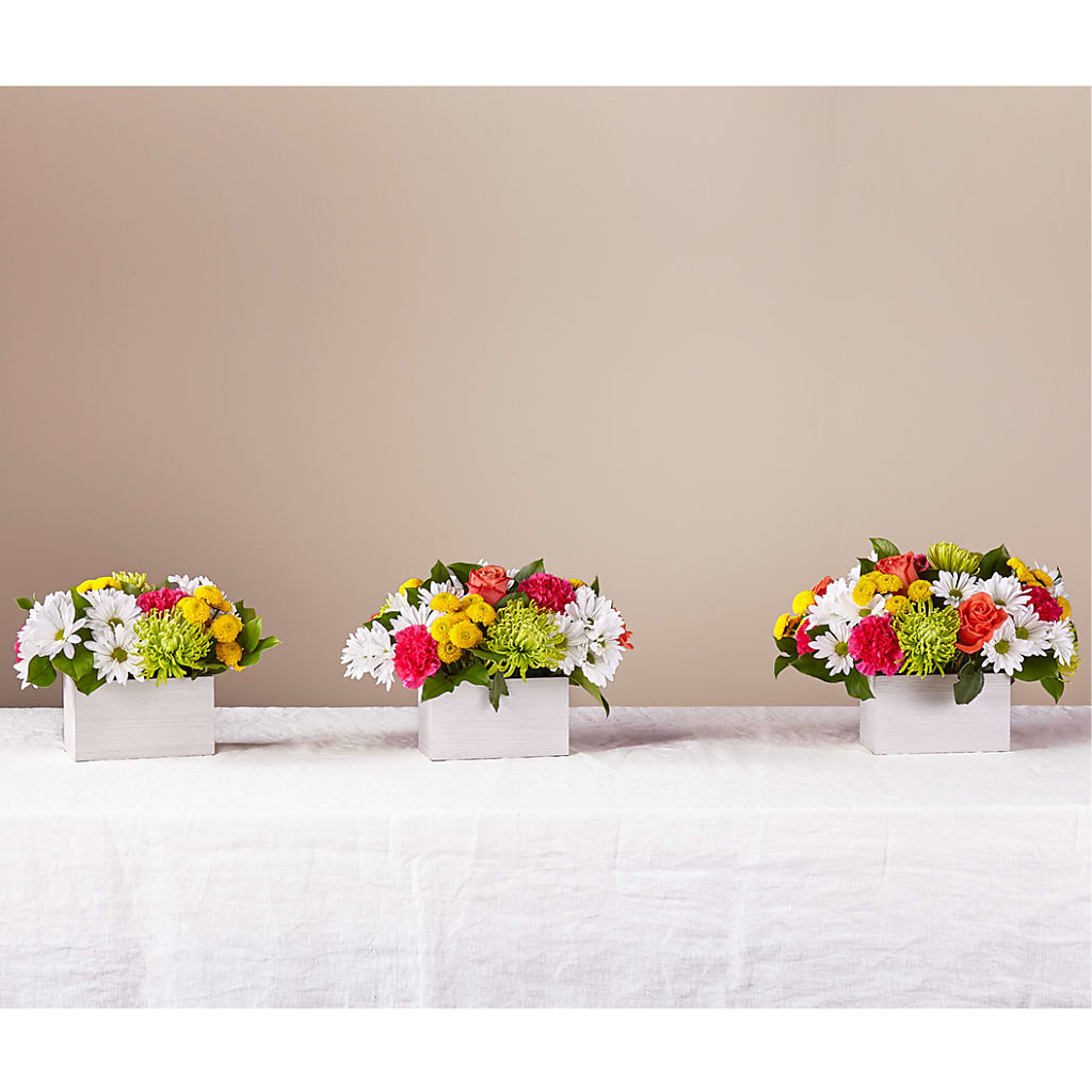 Sorbet Bouquet – RICHARD FLOWERS & GIFTS LLC, Clearwater FL