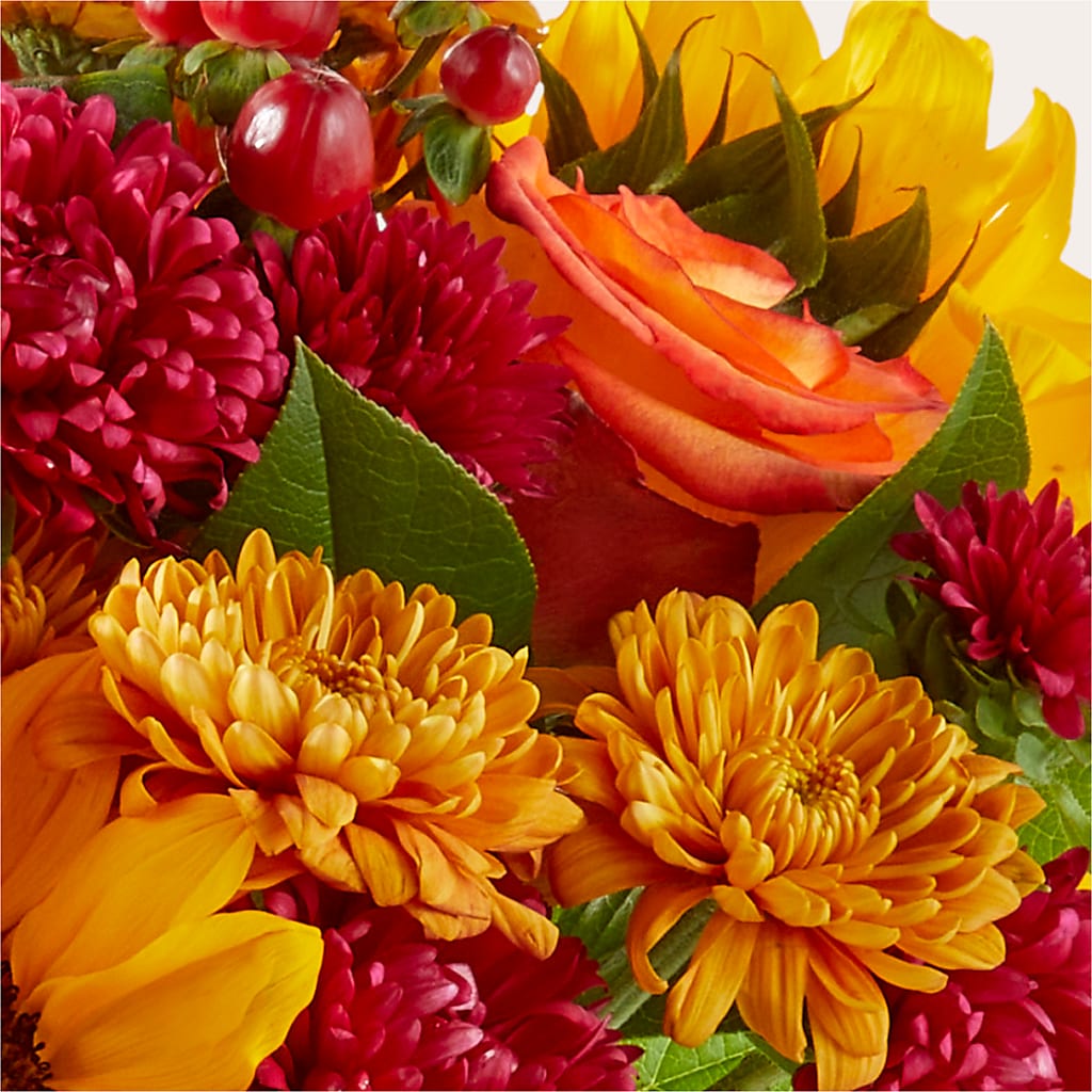 Sweater Season - A Florist Original – RICHARD FLOWERS & GIFTS LLC, Clearwater FL