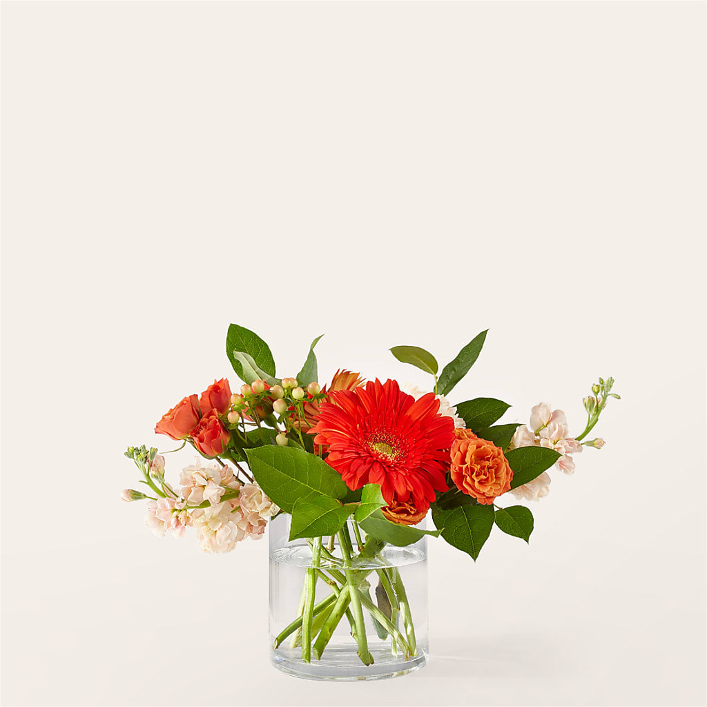 Paloma Please Bouquet – RICHARD FLOWERS & GIFTS LLC, Clearwater FL