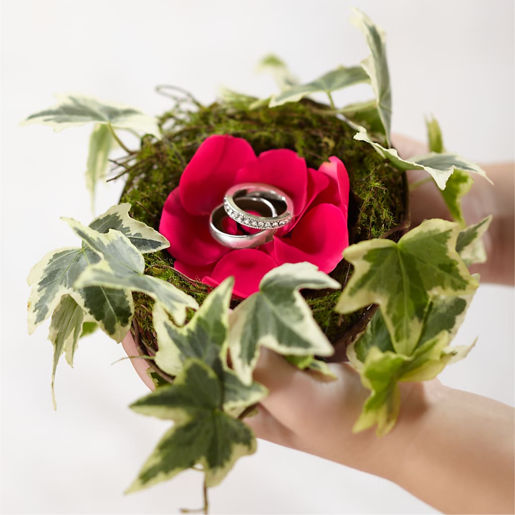 Lila Rose Ring Nest – RICHARD FLOWERS & GIFTS LLC, Clearwater FL
