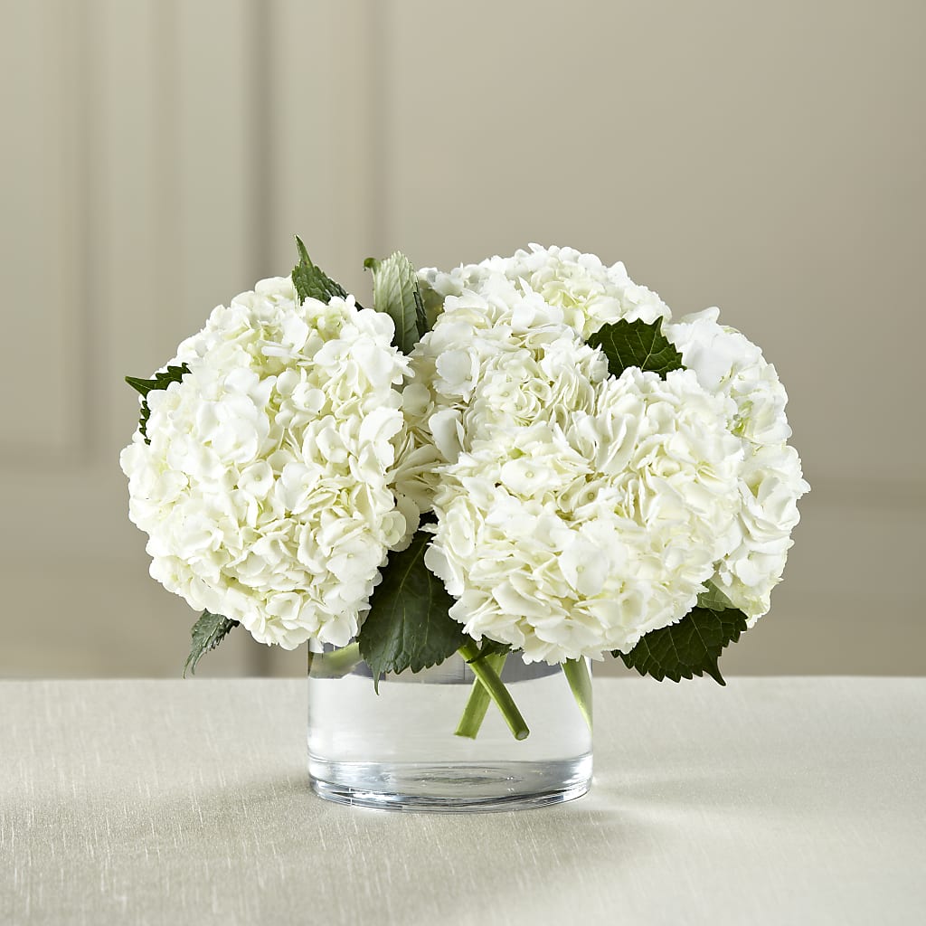 White Hydrangea Bouquet – RICHARD FLOWERS & GIFTS LLC, Clearwater FL
