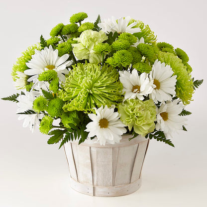 Lucky Charm Basket (Standard) – RICHARD FLOWERS & GIFTS LLC, Clearwater FL