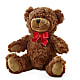 Adorable Plush Bear – RICHARD FLOWERS & GIFTS LLC, Clearwater FL
