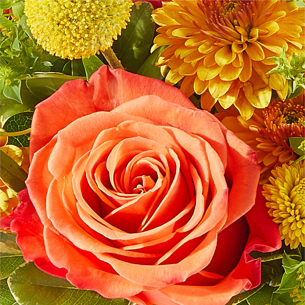 Gourdgeous Pumpkin – RICHARD FLOWERS & GIFTS LLC, Clearwater FL
