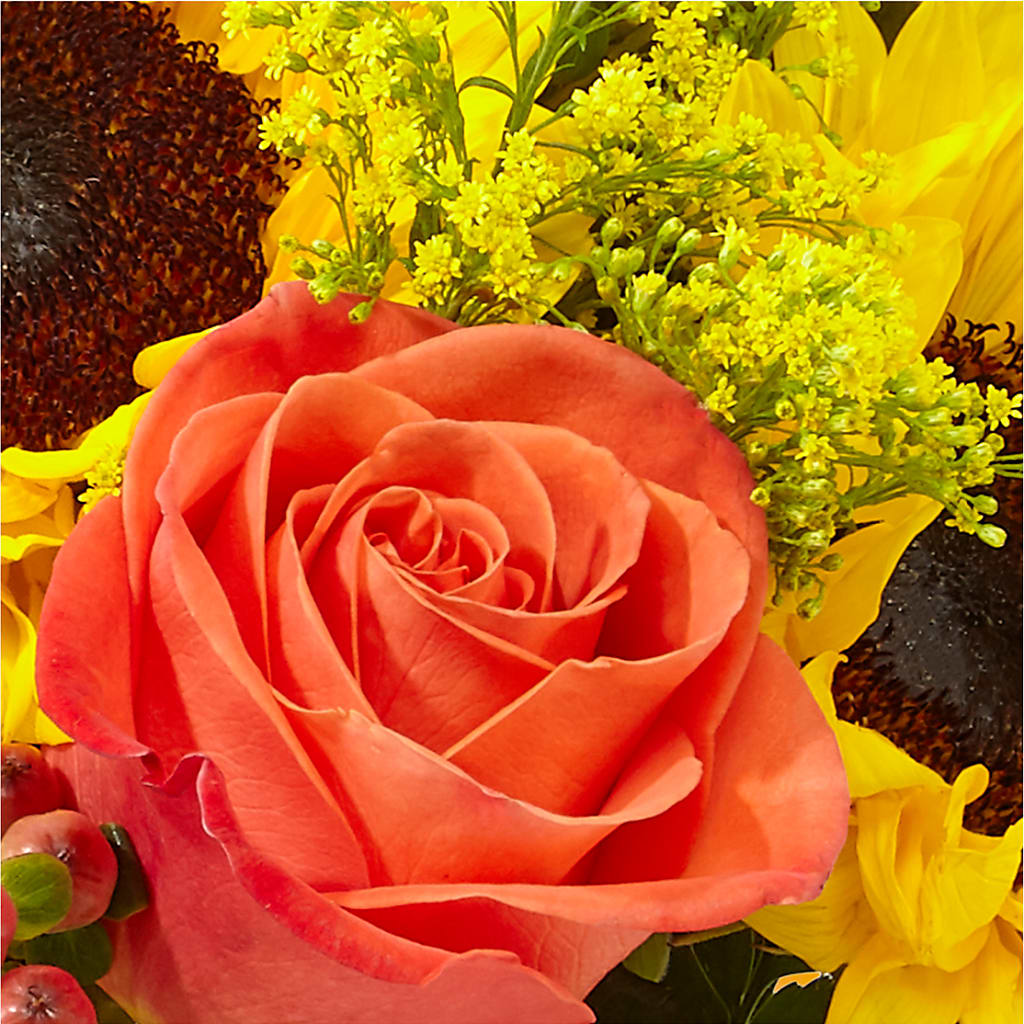 Pick of the Patch Pumpkin Bouquet – RICHARD FLOWERS & GIFTS LLC, Clearwater FL