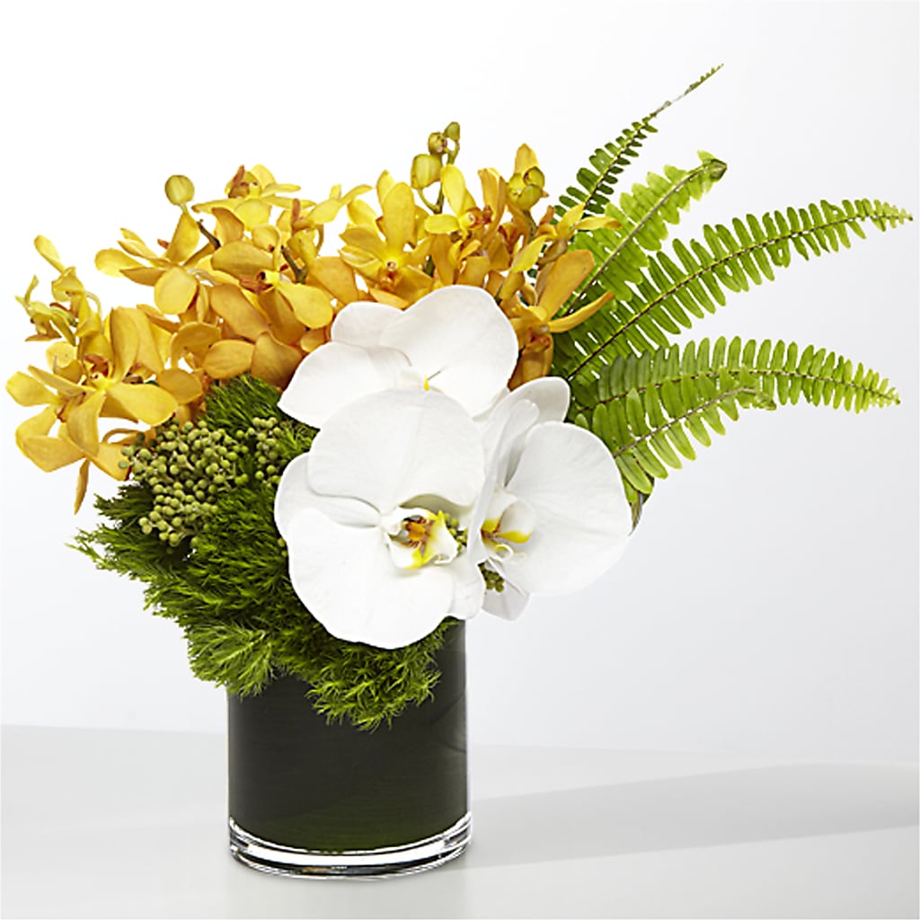 The Tropics – RICHARD FLOWERS & GIFTS LLC, Clearwater FL
