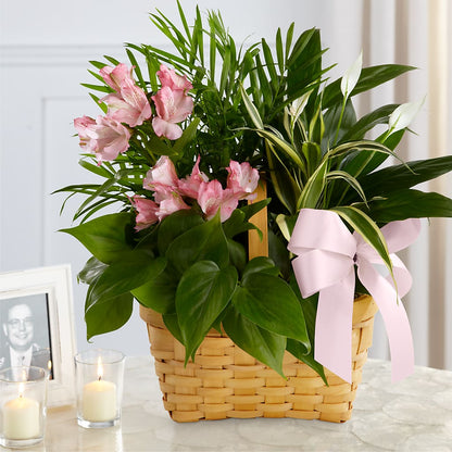 Living Spirit Dishgarden – RICHARD FLOWERS & GIFTS LLC, Clearwater FL