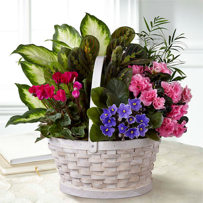 Peaceful Garden Planter – RICHARD FLOWERS & GIFTS LLC, Clearwater FL