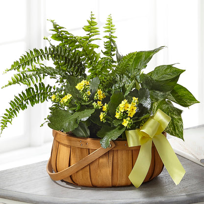 Always Dear Dishgarden – RICHARD FLOWERS & GIFTS LLC, Clearwater FL