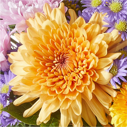 Countryside Bouquet – RICHARD FLOWERS & GIFTS LLC, Clearwater FL