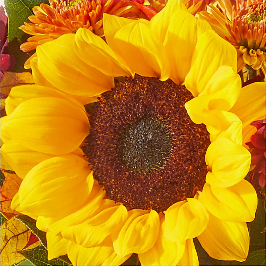 Sunny Side Bouquet – RICHARD FLOWERS & GIFTS LLC, Clearwater FL