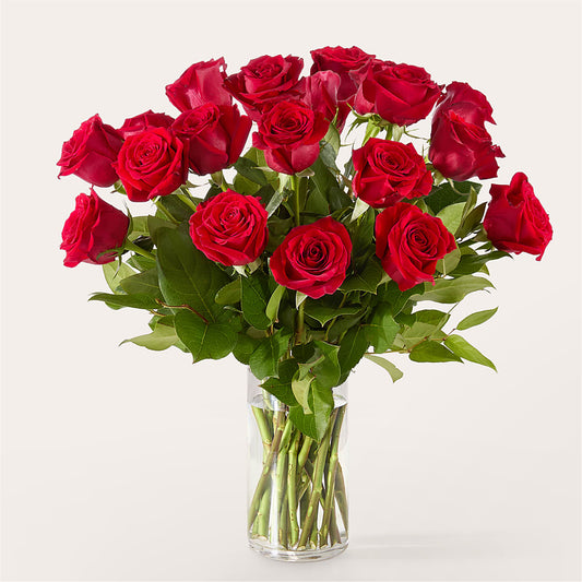 The One Red Rose Bouquet – RICHARD FLOWERS & GIFTS LLC, Clearwater FL