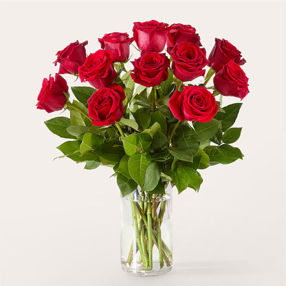 The One Red Rose Bouquet – RICHARD FLOWERS & GIFTS LLC, Clearwater FL