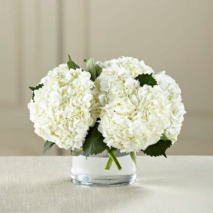 White Hydrangea Bouquet – RICHARD FLOWERS & GIFTS LLC, Clearwater FL